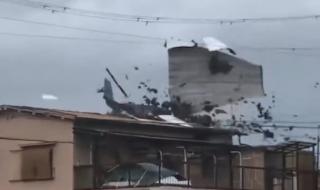 10级台风有多大威力 10级台风有多大威力