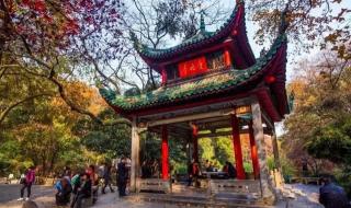 中南大学商学院 中南大学商学院