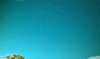 月下美人怎么合 月下美人怎么合