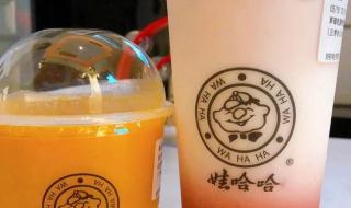 娃哈哈商标 娃哈哈商标