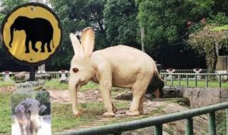 动物园规则怪谈原文 动物园规则怪谈原文