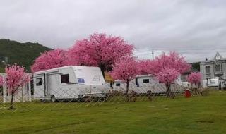 深圳露营地点推荐 深圳露营地点推荐